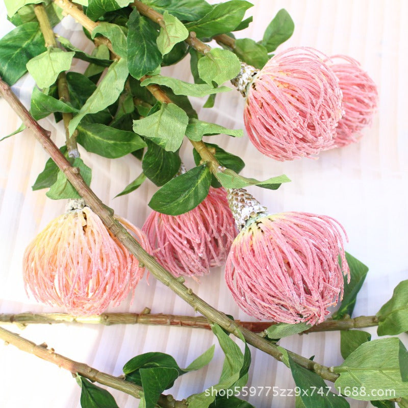 Realistic Protea Flower Stem