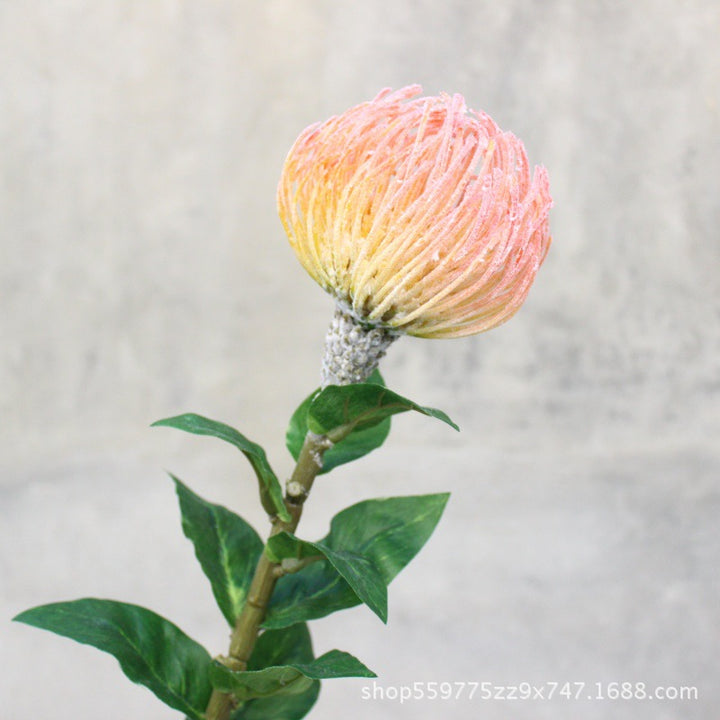 Realistic Protea Flower Stem