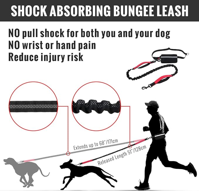 FlowLeash — Experience gentle control and relaxed walks without jerks! | Kalsten