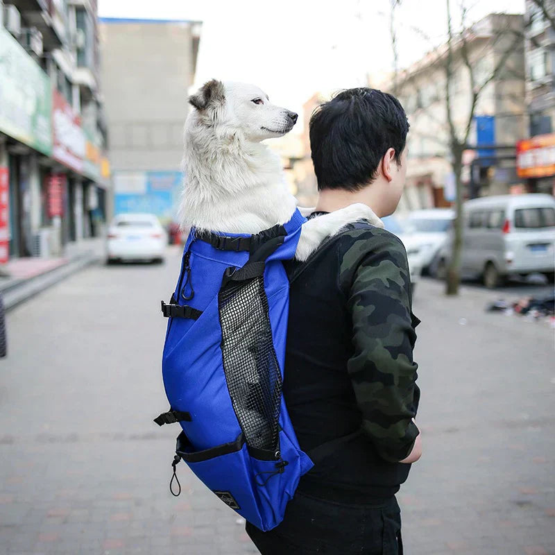 Kalsten | Dog Backpack – Comfortable Carrying Bag for Medium Dogs with Safety Strap and Storage Pockets