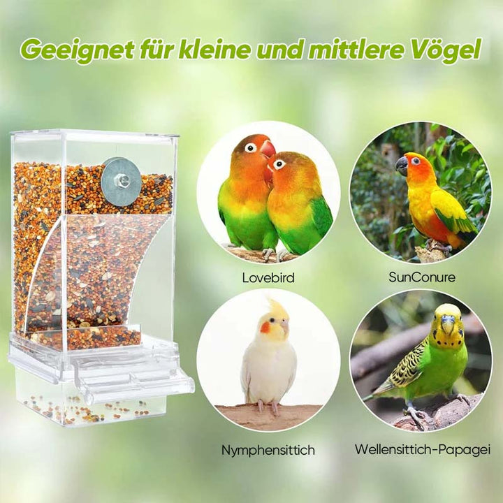 Automatic, leak-proof bird feeder | Kalsten