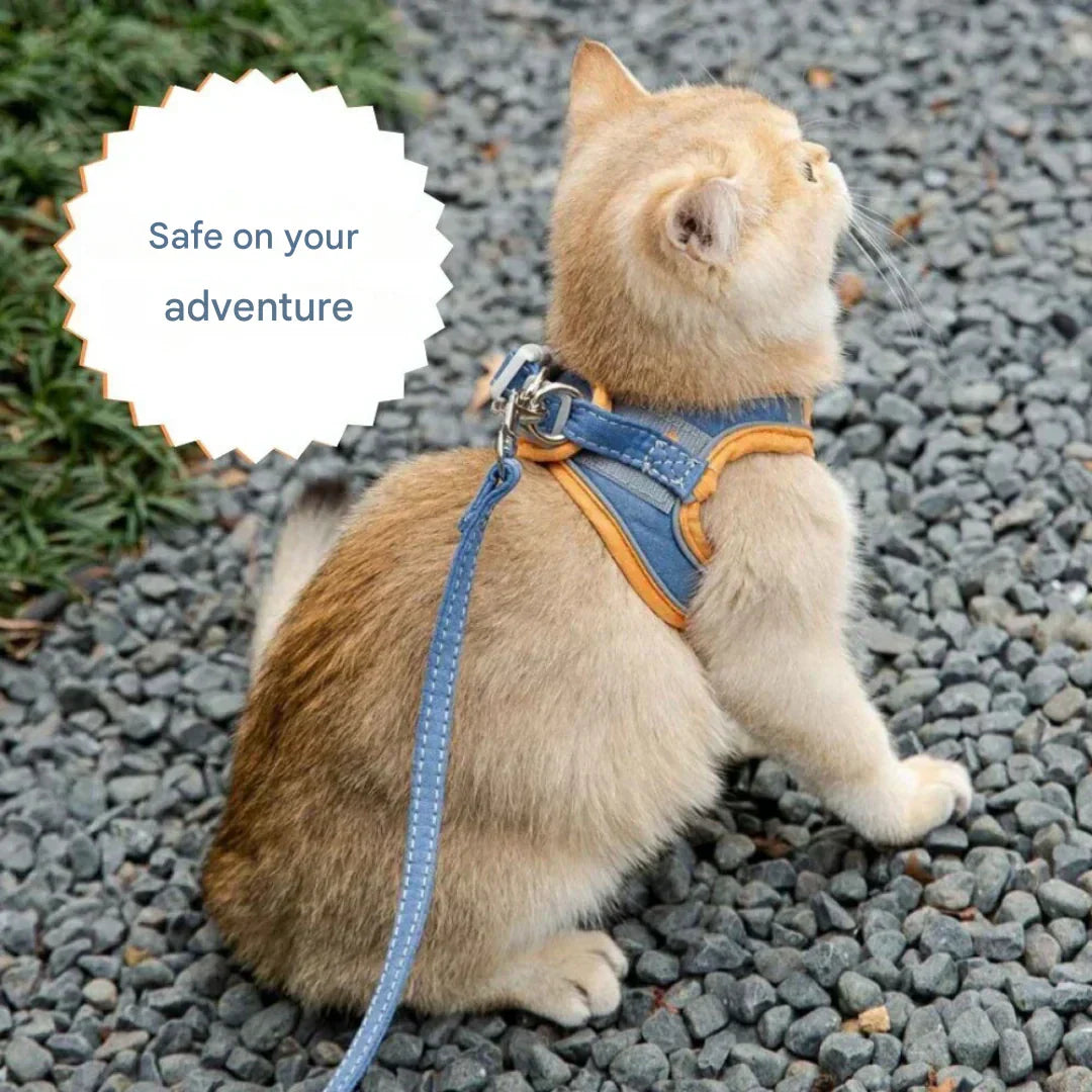 Adventurous Cat Harness with Leash – Adjustable and Reflective | Kalsten