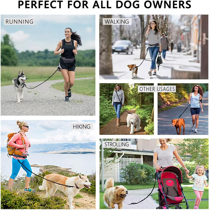 Kalsten | PawsFree Pro – Enjoy stress-free walks with your dog