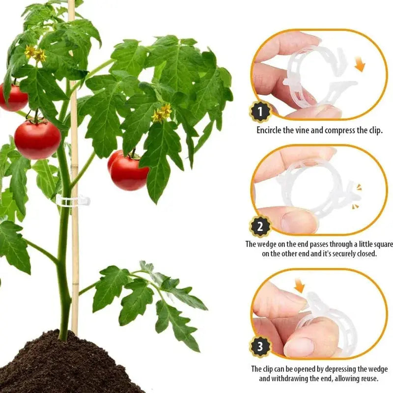 VitaGrip Clips — Strong hold for majestic plants that grow and thrive proudly | Kalsten