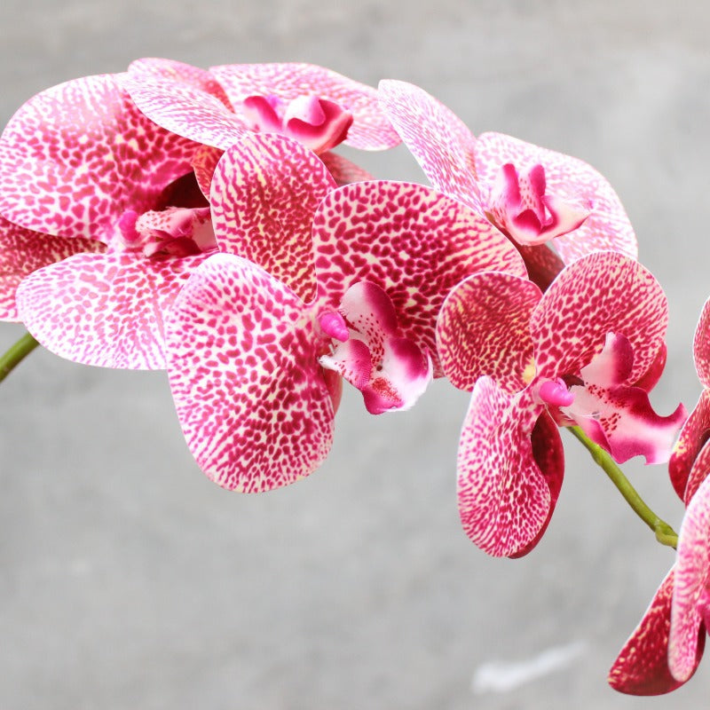 Decorative Blooming Orchid Stem