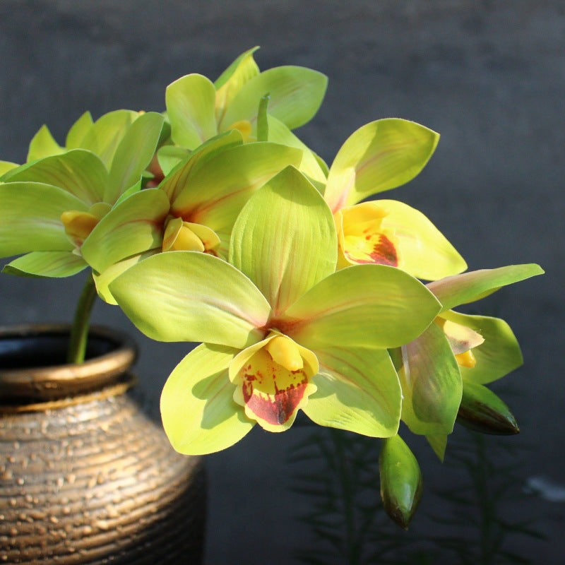 Decorative Orchid