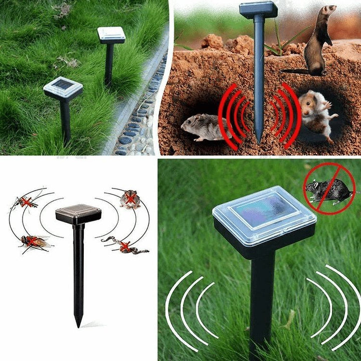 Repel pests - Healthy and protected garden - Environmentally friendly and effective | Kalsten