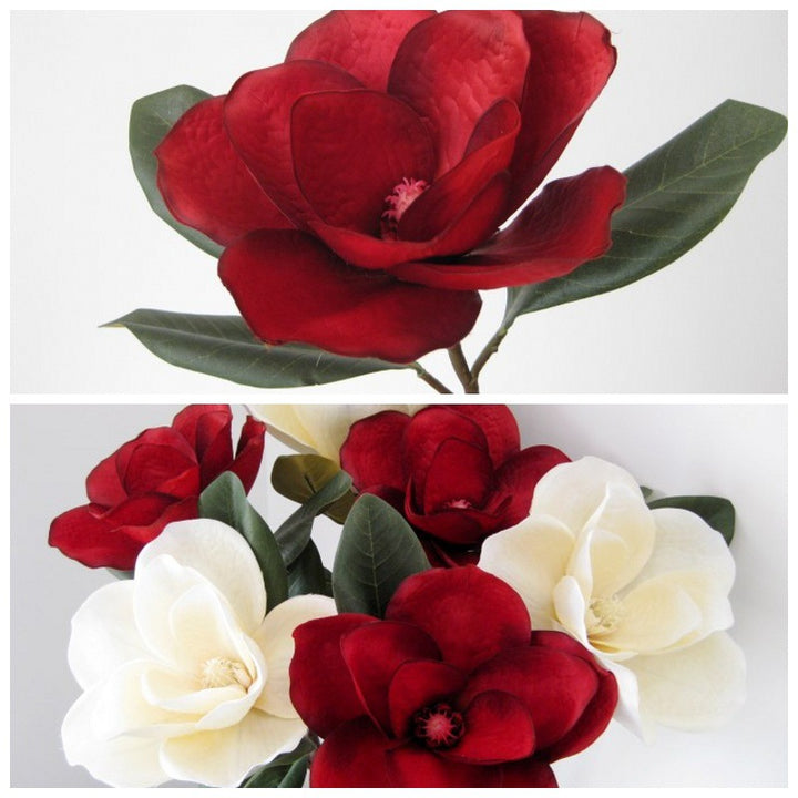 Realistic Magnolia Flower Stem