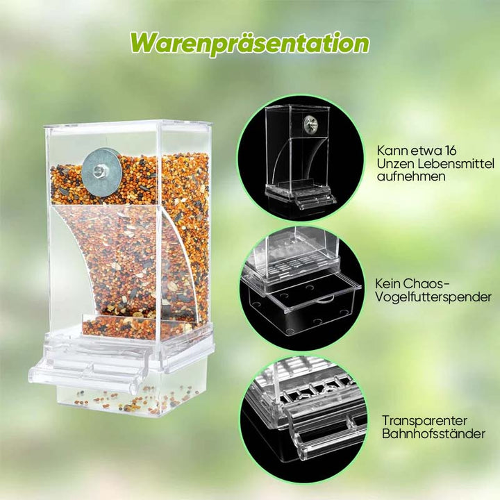 Automatic, leak-proof bird feeder | Kalsten
