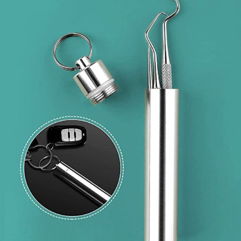 Stainless Steel Toothpick Set (7 pieces) | Kalsten