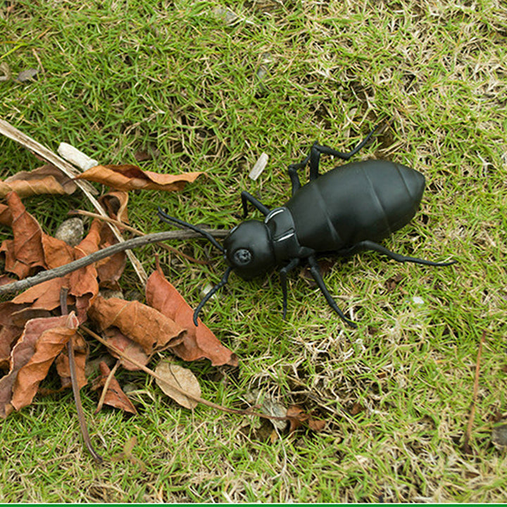 Kalsten | Remote Control Electric Animal Toy