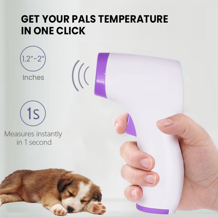 Kalsten | No-Contact Dog Thermometer with One Click Reading