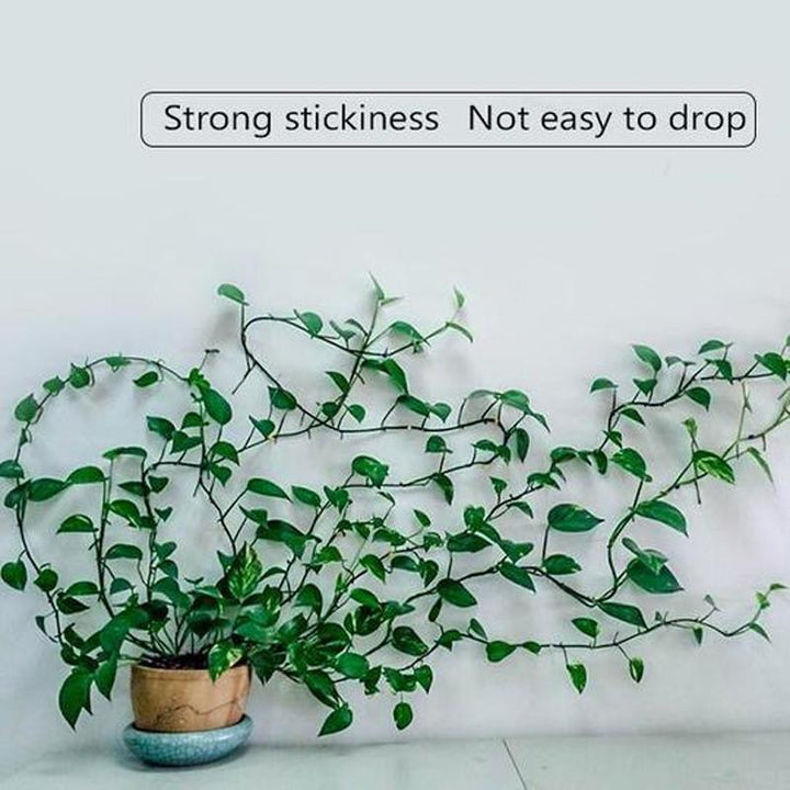 Wall Clips for Climbing Plants (30 pieces) | Kalsten