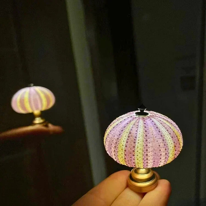 Kalsten | LumiCraft – Unique DIY table lamp with natural sea shell for a cozy décor