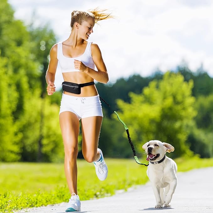FlowLeash — Experience gentle control and relaxed walks without jerks! | Kalsten