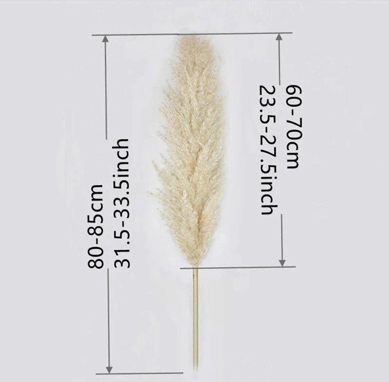 Kalsten | 80 cm natural, real dried pampas grass bouquet (white / beige / gray) │ fluffy feather for modern boho home decor