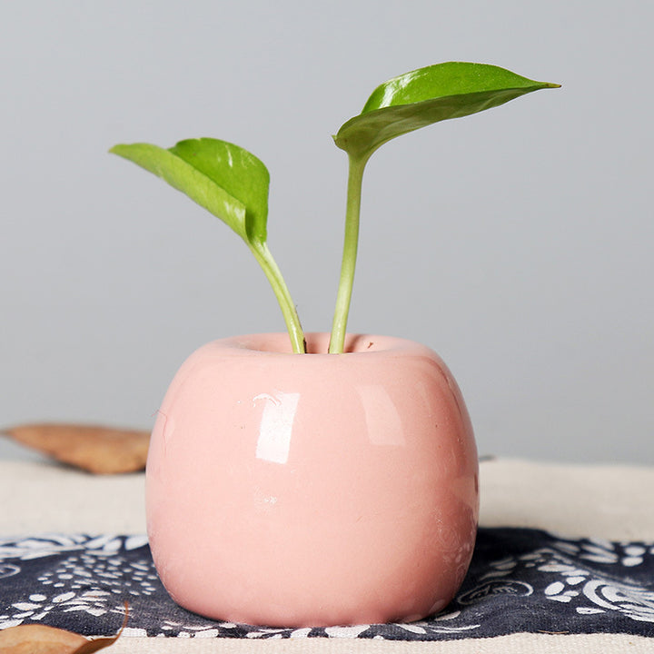 Artistic Ceramic Apple-Shaped Planter Kalsten