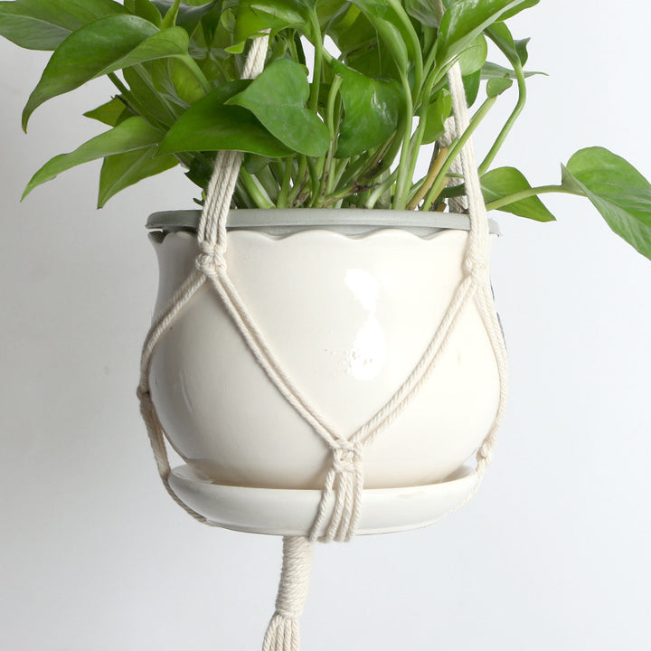 Macramé Plant Hanger Set  1788896255