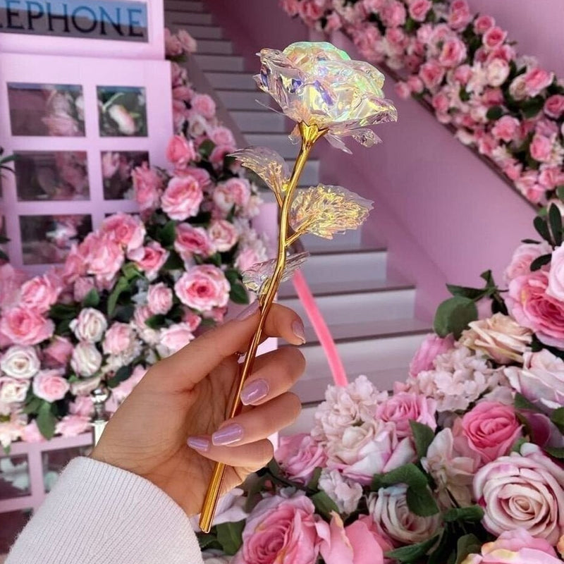 Kalsten | Shiny Sleeping Rose Valentine's Day