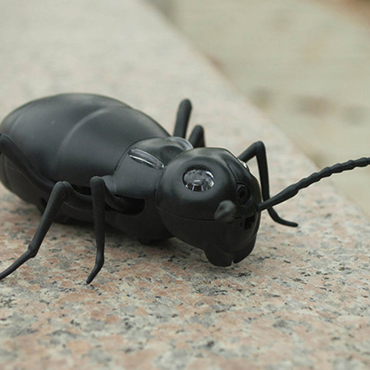 Kalsten | Remote Control Electric Animal Toy