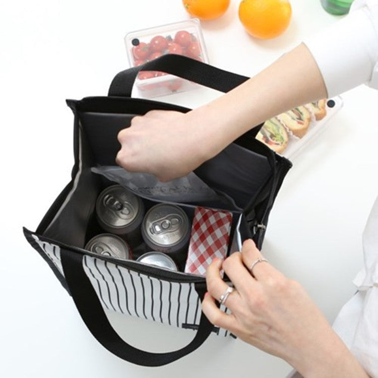 Stylish Insulated Lunch Cooler Bag Kalsten