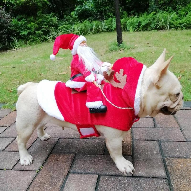 Christmas Santa Dog Costume | Kalsten