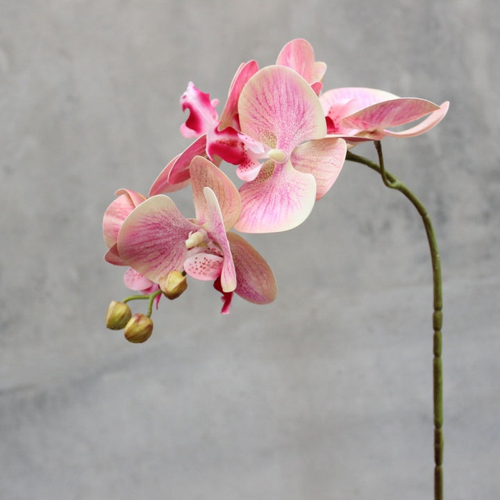 Realistic Artificial Orchid Stem
