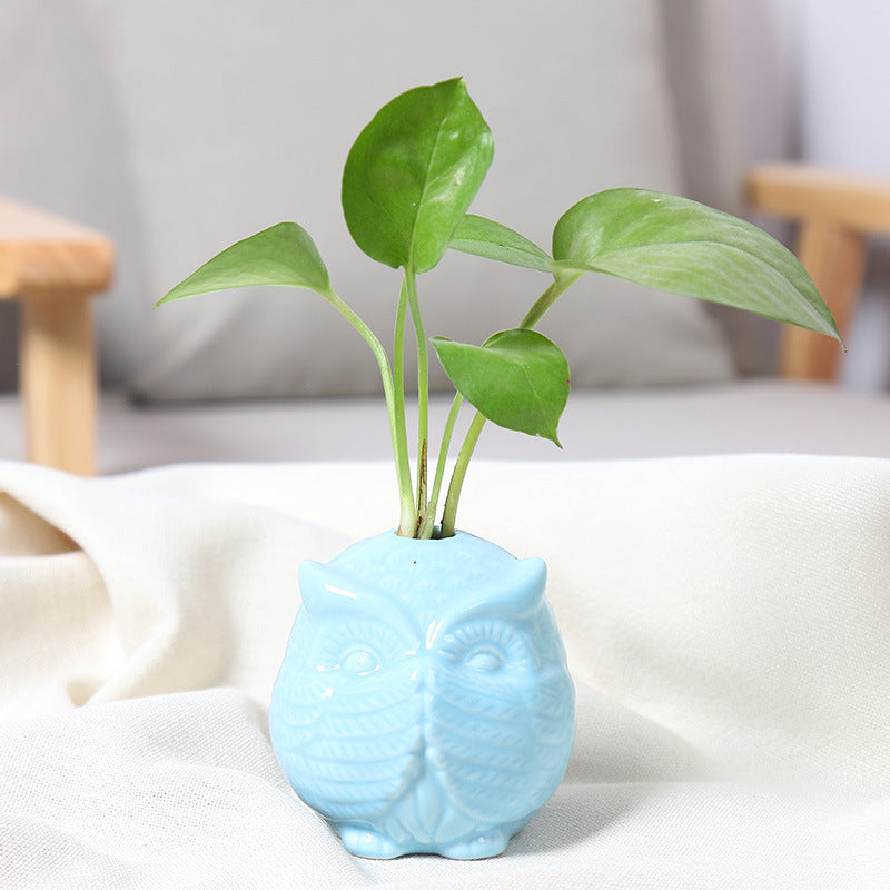 Owl-Shaped Succulent Planter Kalsten