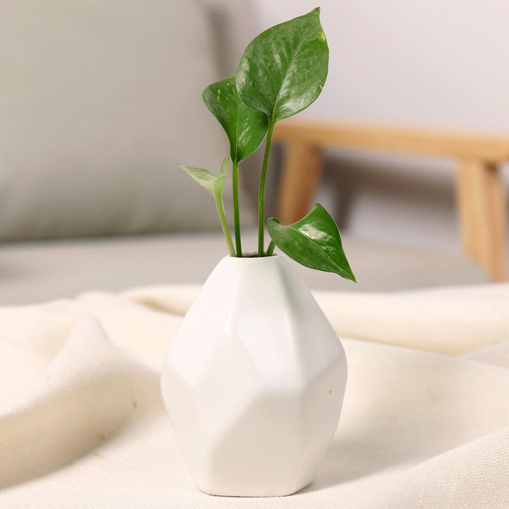 Geometric Ceramic Decorative Vase Kalsten