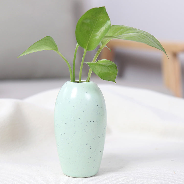 Elegant Ceramic Planter Kalsten