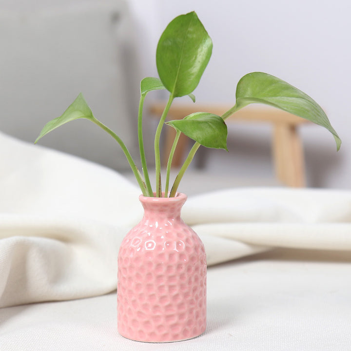Artistic Ceramic Miniature Vases Kalsten