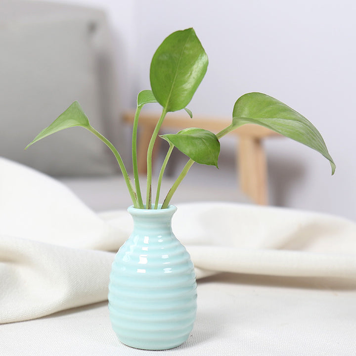 Artistic Ceramic Miniature Vases Kalsten