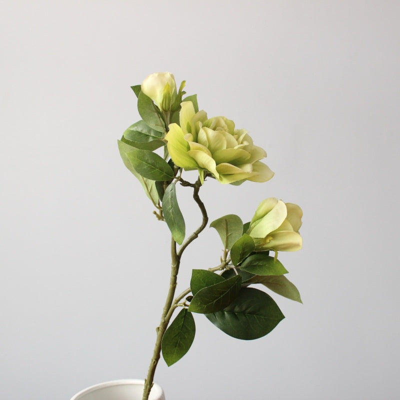 Elegant Decorative Magnolia Stem