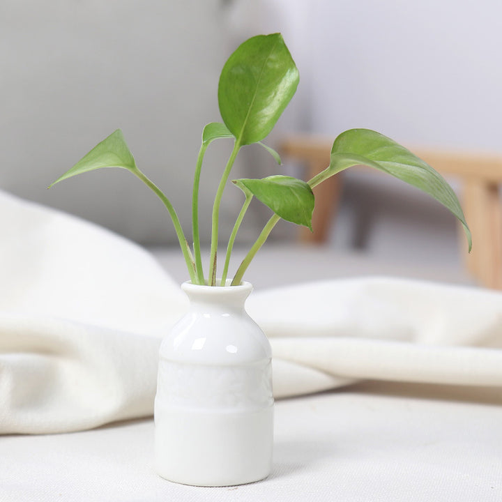 Artistic Ceramic Miniature Vases Kalsten