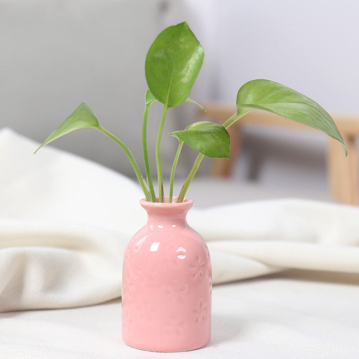 Charming Ceramic Bud Vase Kalsten