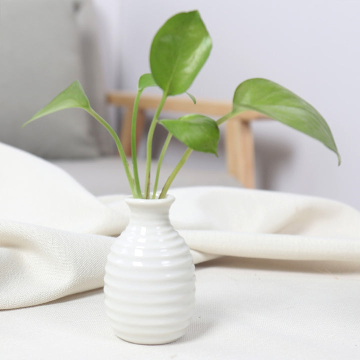 Artistic Ceramic Miniature Vases Kalsten