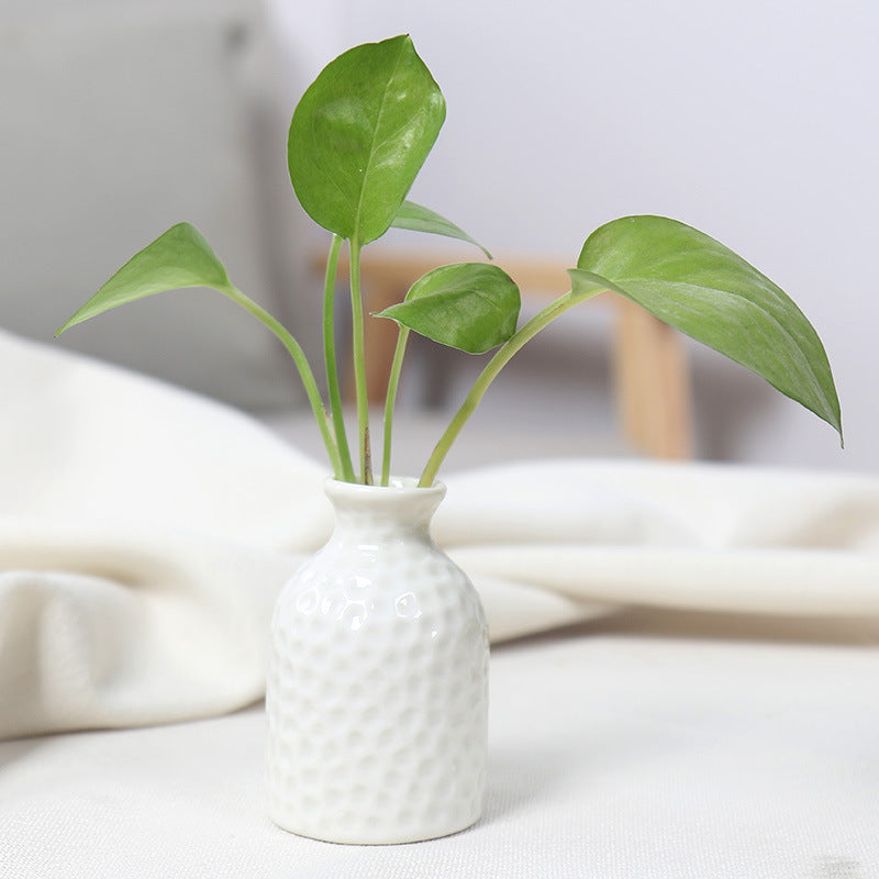 Artistic Ceramic Miniature Vases Kalsten