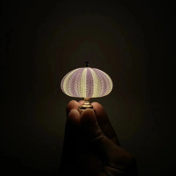 DIY Sea Urchin Night Light - LumiUrchin | Kalsten