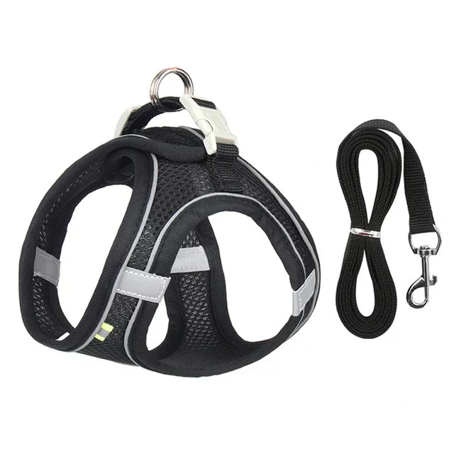Adventurous Cat Harness with Leash – Adjustable and Reflective | Kalsten