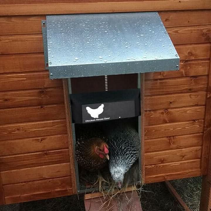 Kalsten | Automatic Chicken Coop Door with Light Sensor & Weather Protection