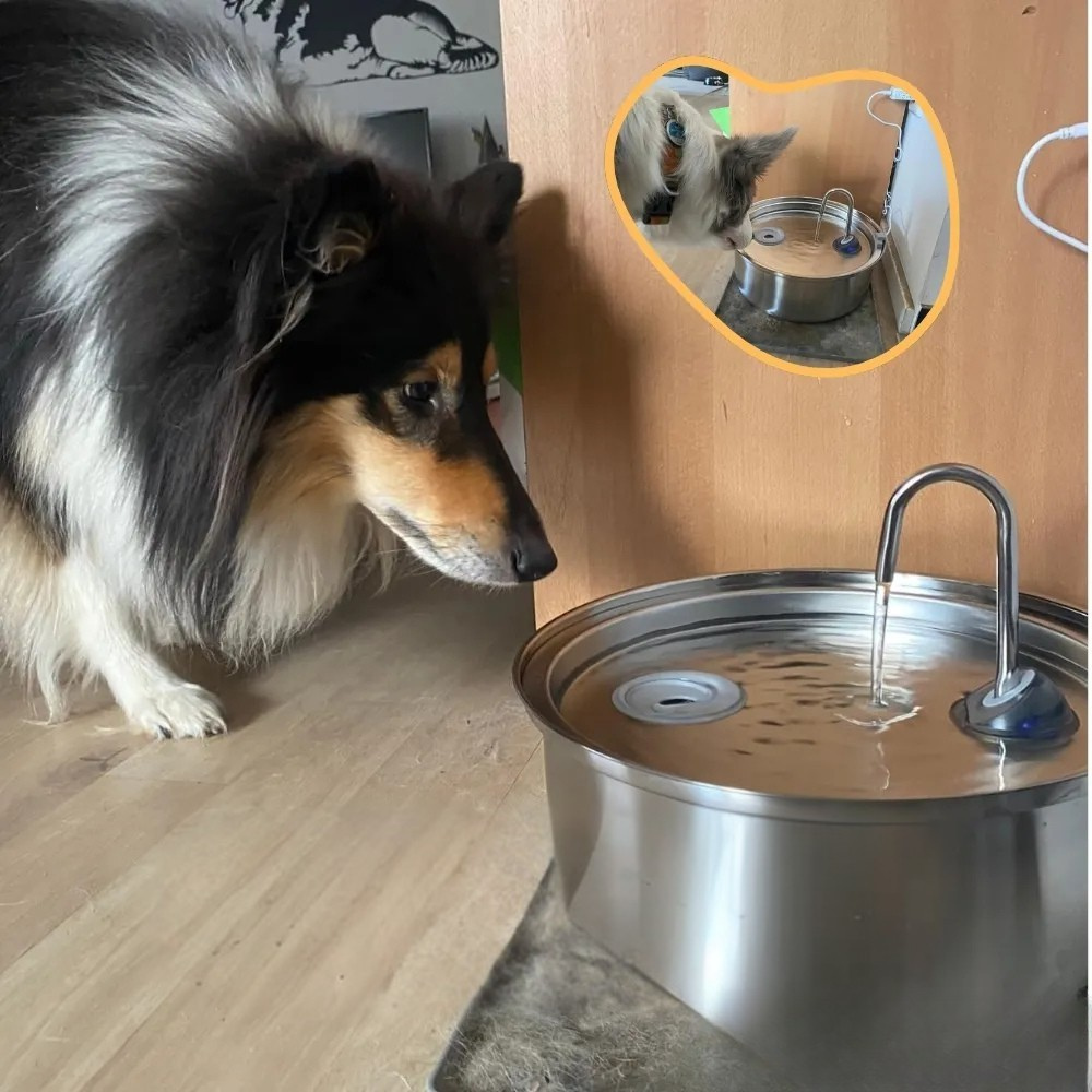 Automatic Stainless Steel Pet Water Fountain
