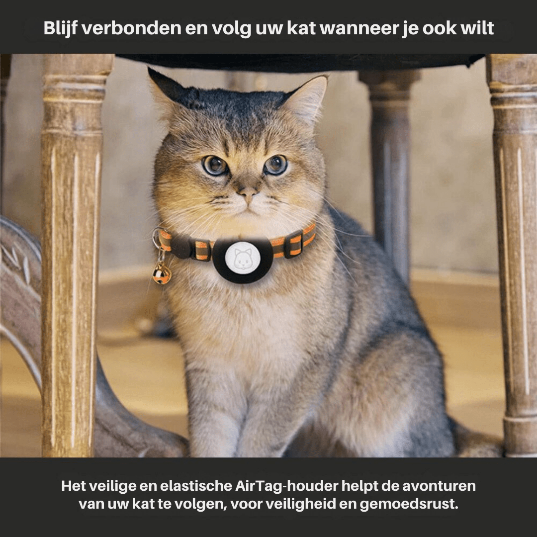 Kalsten | GPS Tracker Collar for Safety & Visibility for Cats