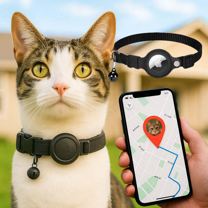 GPS Tracking Collar for Cats