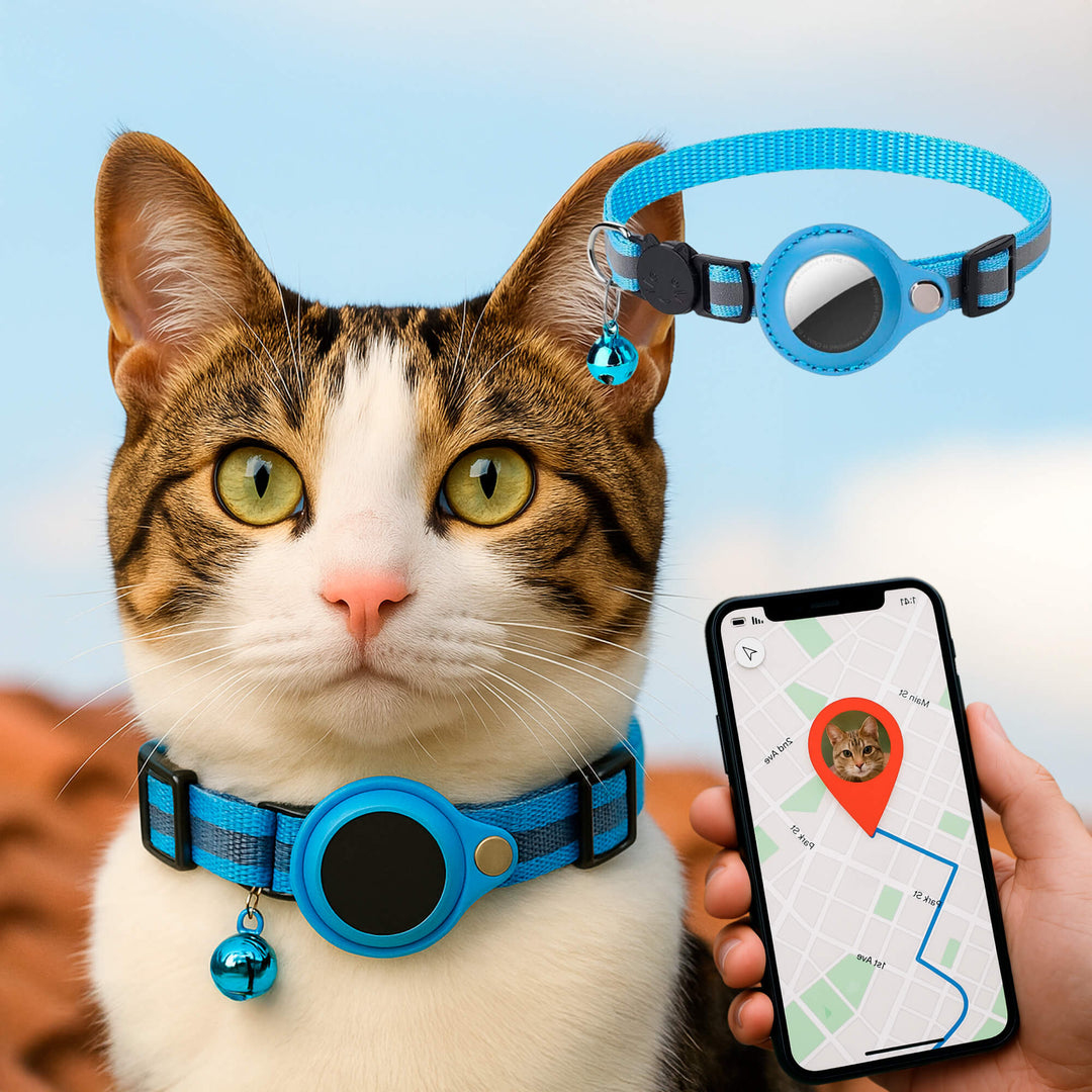 GPS Tracking Collar for Cats