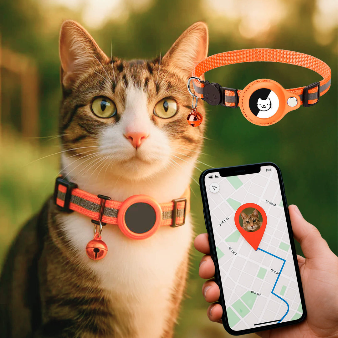 GPS Tracking Collar for Cats