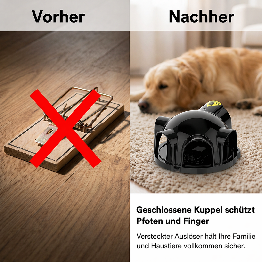 Reusable mouse trap with 4 doors | Kalsten