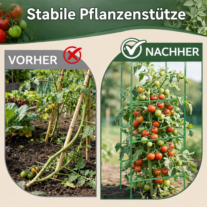 GrowGuard — Easy upright support for strong plants that don't want to topple anymore! | Kalsten