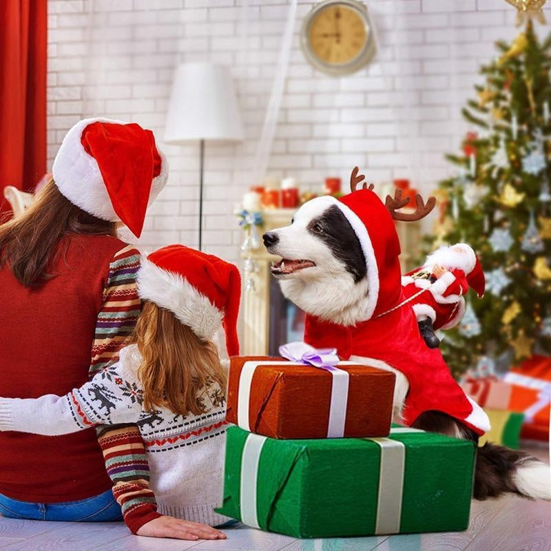 Christmas Santa Dog Costume | Kalsten