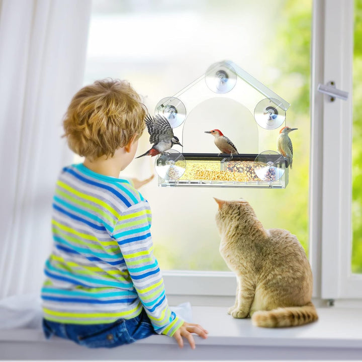Kalsten | Bird Feeder Clear Acrylic Window Suction House