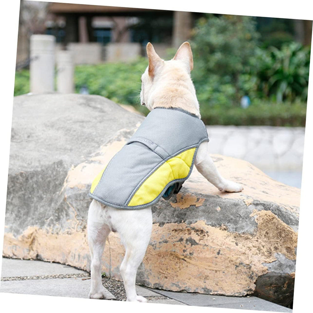 Coolify™ : Cooling Vest for Frenchie (CS13) | Kalsten